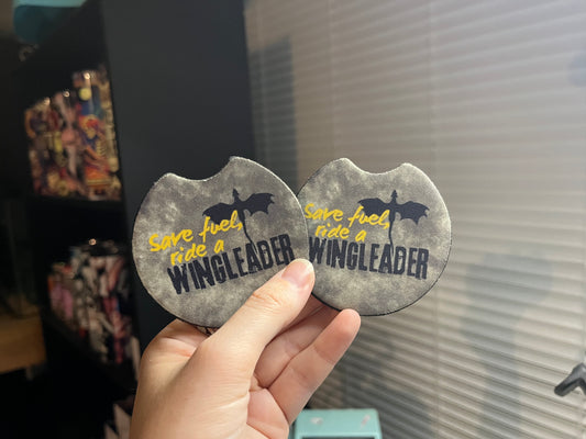 Dragon Rider Car Coaster